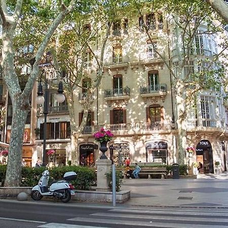 Comfortable Apartment With Character In The Old Town Palma de Mallorca Exterior photo
